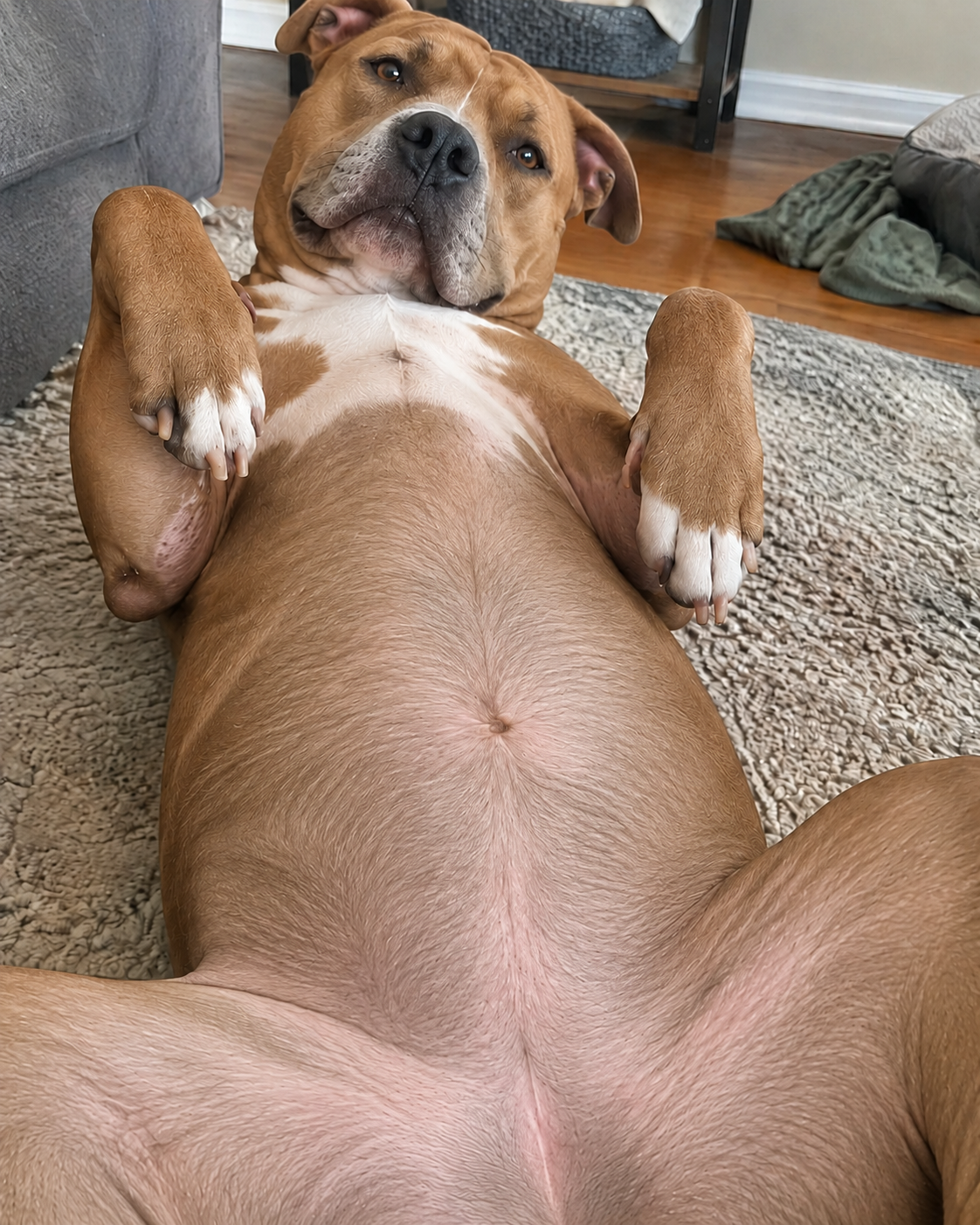 Belly and back legs, eight weeks apart. After.