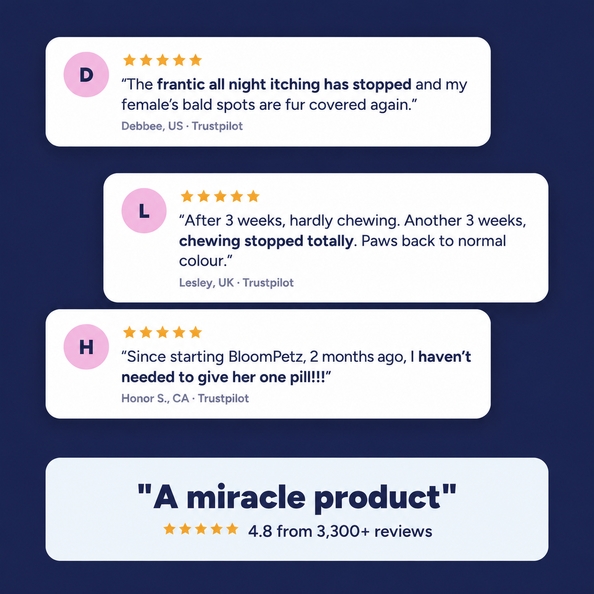 Bloom customer reviews