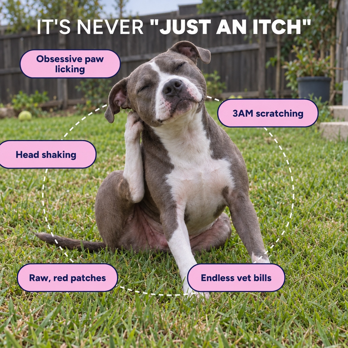 It is never just an itch