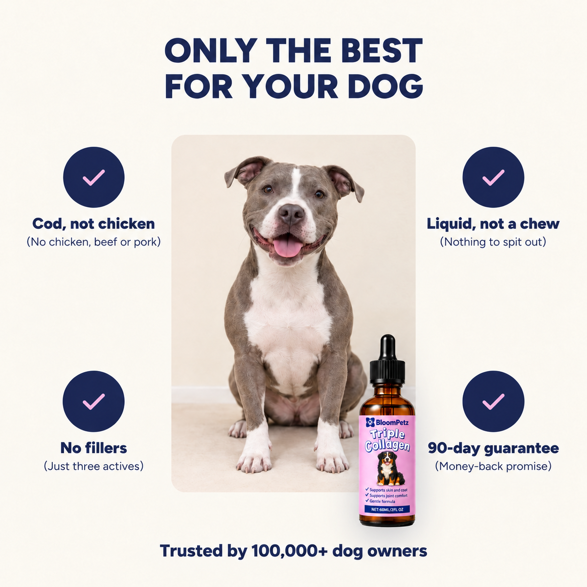 Only the best for your dog