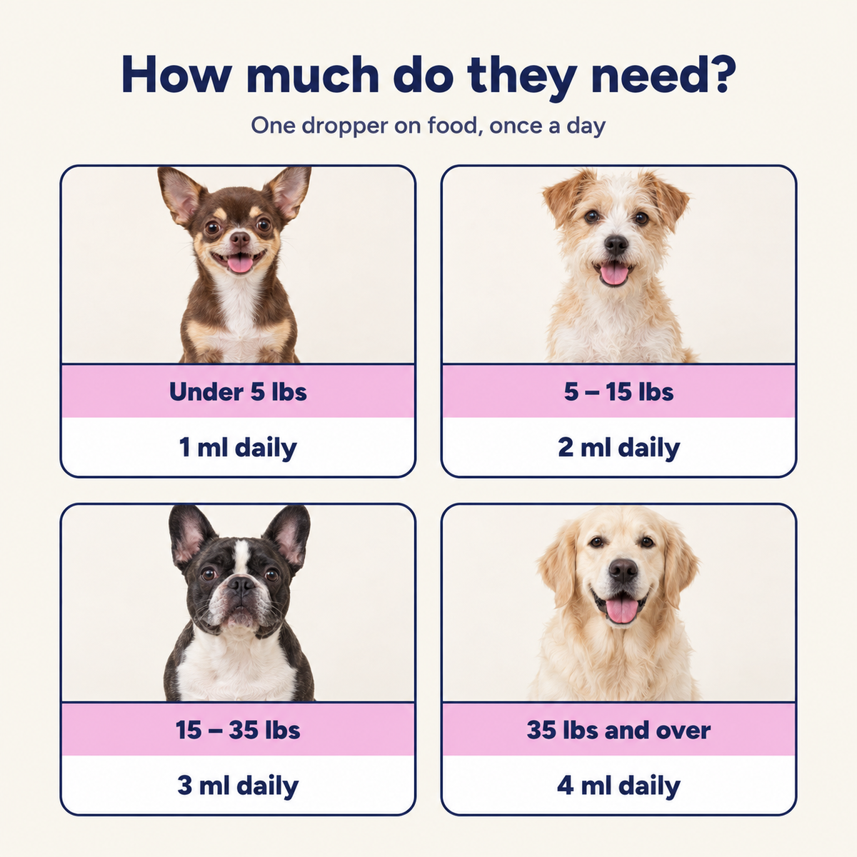 Bloom dose by dog weight